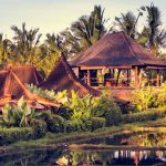 Peace Flow - Bali retreat