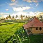 Peace Flow - Bali retreat